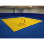 100x200x5 Cm Judo Mat (IJF Standard) - Image 5