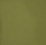 Pistachio Green Marine Leather