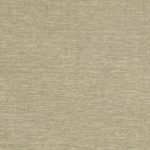 Gray Beige - 4207