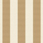 Stripe Brown Striped