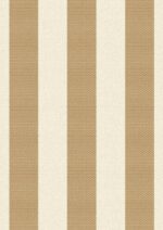 Stripe Brown Striped