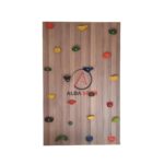 Climbing Wall Stone