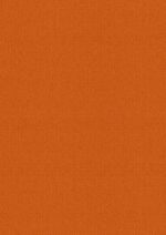 Orange - Sirella Plain